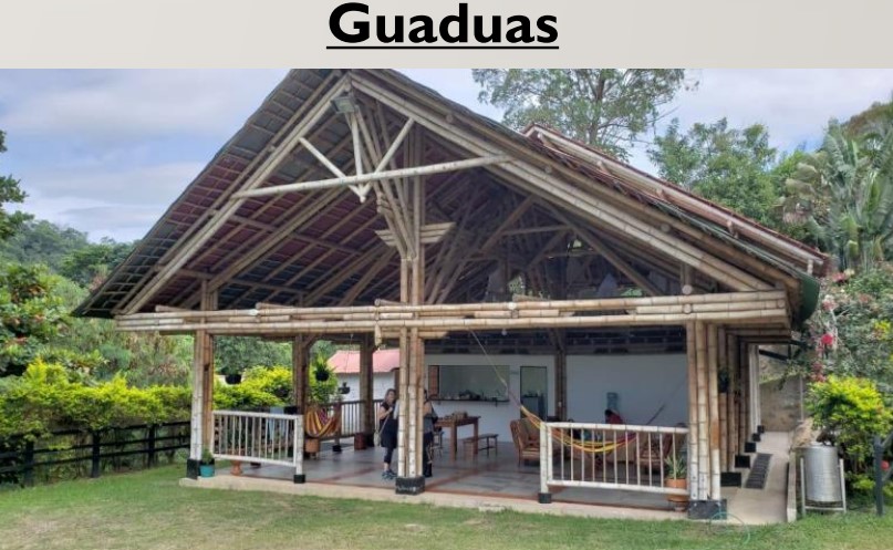 rancho casa madera amacas nueva lengua guaduas