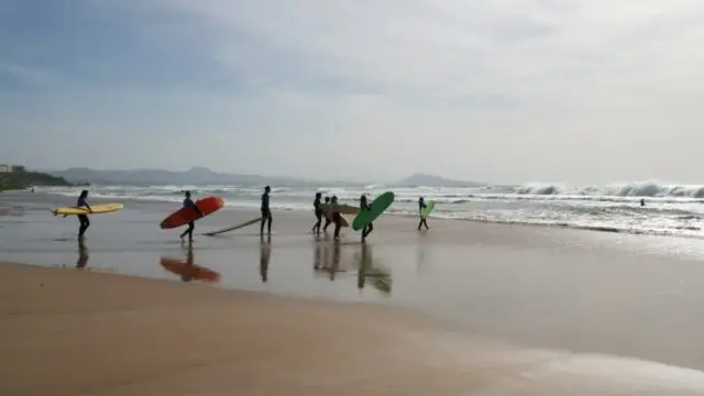grupo caminando surf