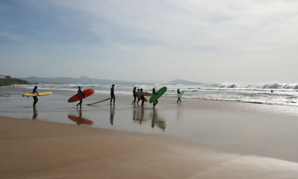 grupo caminando surf