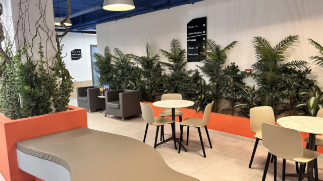 sala sillas y mesas plantas