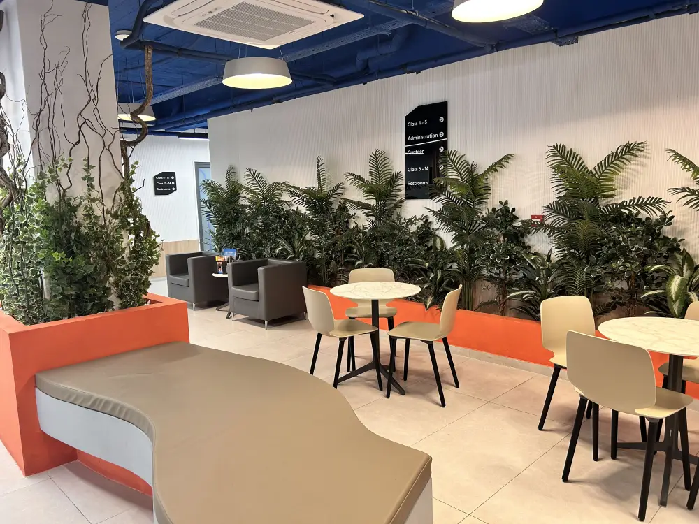 sala sillas y mesas plantas